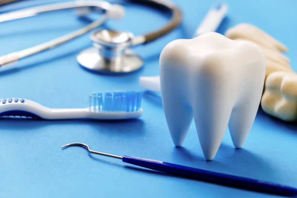 Professional Dental Services in The Hammocks, FL